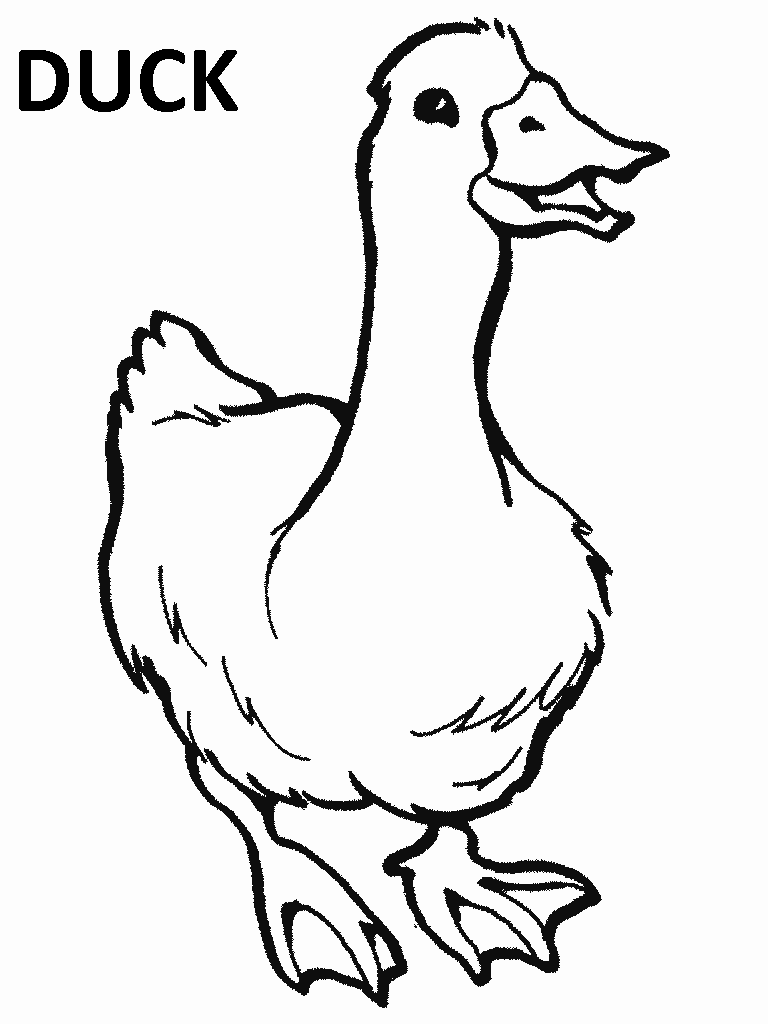 dibujos-para-colorear-animales-granja-pato-1 | Dibujos para cortar y  colorear