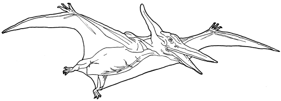 dibujo pterosaurio