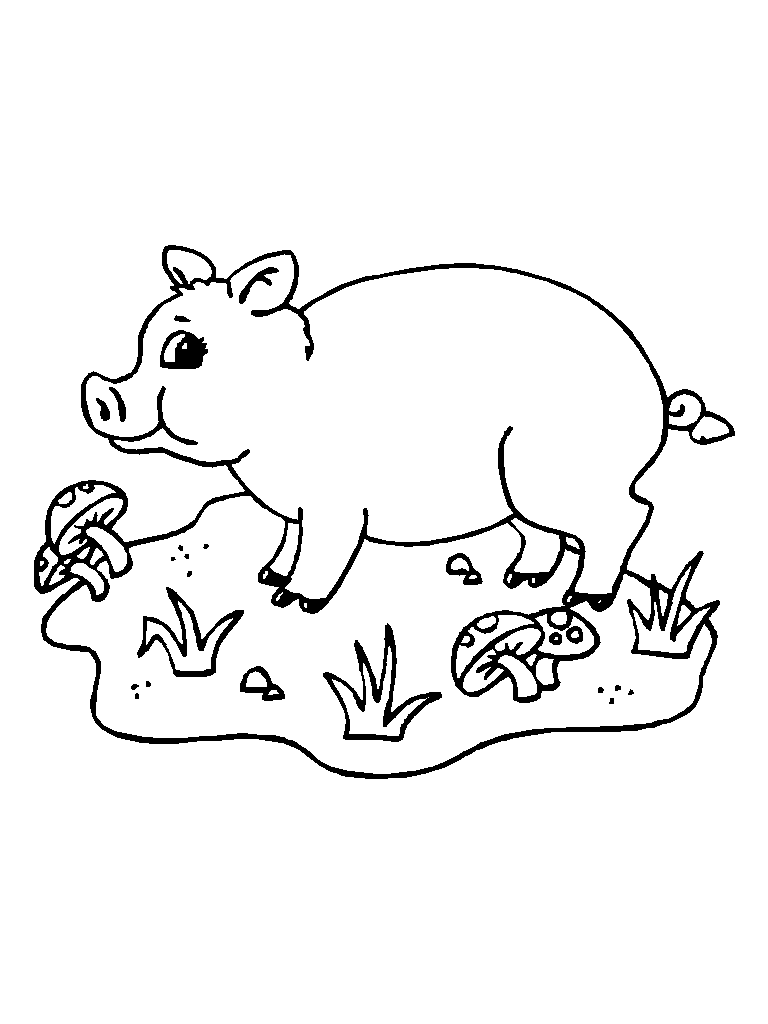 Dibujos Para Colorear Animales De Granja Cerdo Ii Dibujos Para