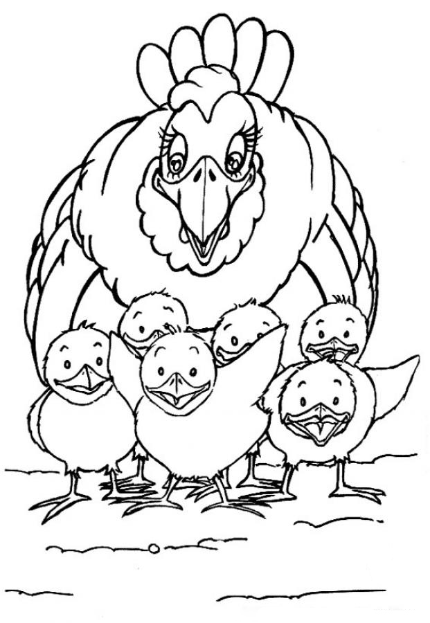 Dibujos para colorear animales de granja | gallina con pollitos