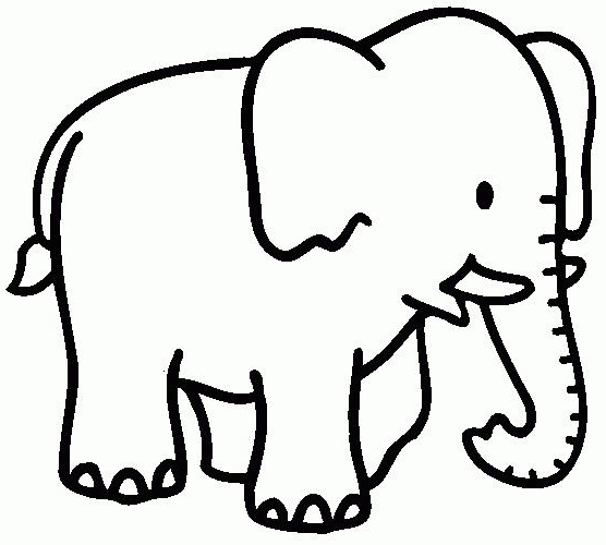 Dibujos para colorear animales salvajes | Elefante