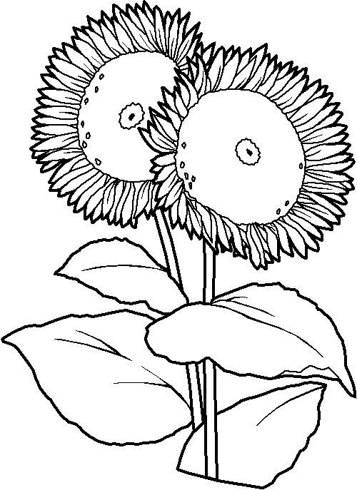 Dibujos para pintar en tela flores | Girasoles
