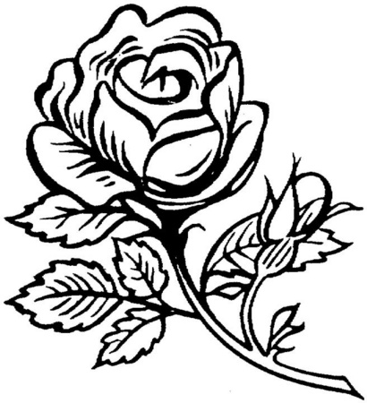 Dibujos para pintar en tela flores| Rosa