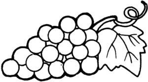 Dibujos para pintar frutas | Uvas